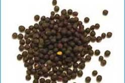 الحبة السوداء..تترأس وصفات الطب البديل