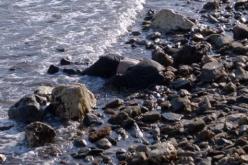 مصرع 20 مهاجرا بساحل اليونان