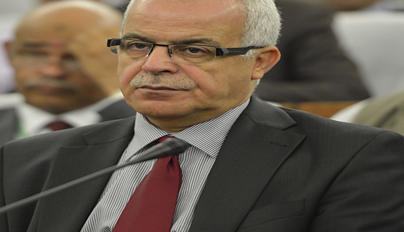 لا نية لنا في غلق مجمّع الخبر أو إبطال صفقة بيعه