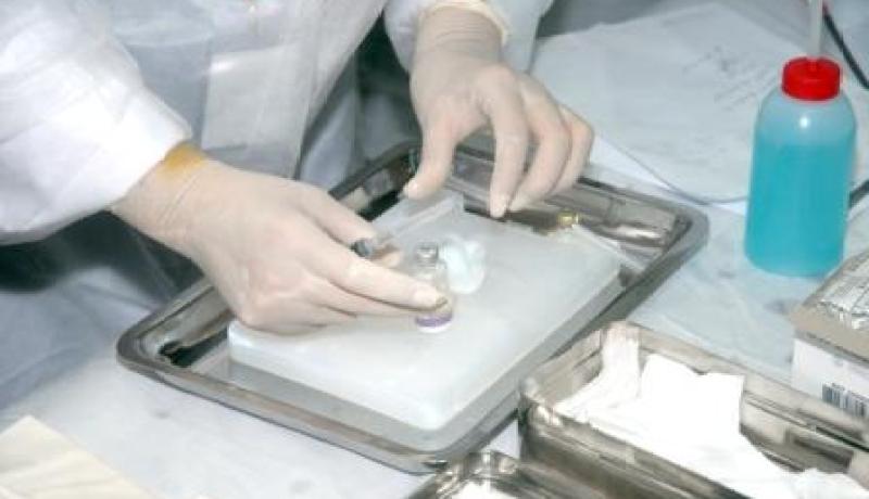 مدير معهد باستور أقيل بسبب رفضه التواطؤ مع مافيا سوق الدواء