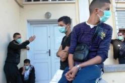 عندي حلّوف في المطبخ وأريد الزواج هكذا تعامل الجزائريون مع أنفلونزا الخنازير