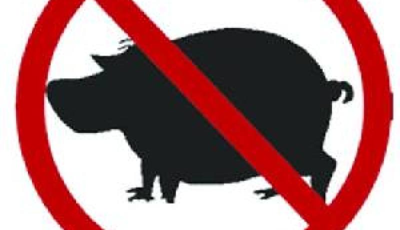 منظمة الصحة العالمية تعلن عن انحسار انفلونزا الخنازير