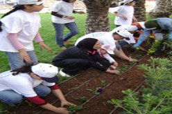 تجنيد أكثر من 1800 شاب لغرس محيط القطب الرياضي بسطيف.