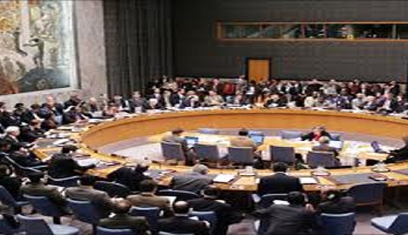 دبلوماسي فرنسي : 10 من اعضاء مجلس الامن يؤيدون قرار المبادرة العربية
