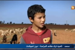 بالفيديو ..الطفل محمد ..حلم براءة وواقع أليم وحزين