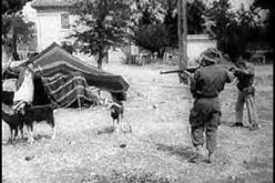مجازر 8 ماي 1945 أثبتت أن ما يؤخذ بالقوة لا يسترجع إلا بالقوة