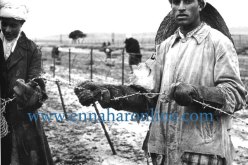 صور من حرب الجزائر –  وكالة الأنباء الفرنسية