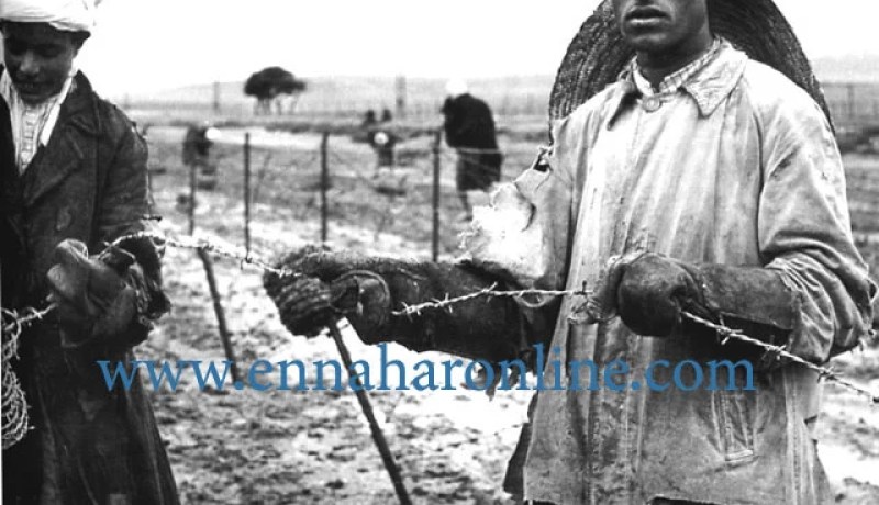 صور من حرب الجزائر –  وكالة الأنباء الفرنسية