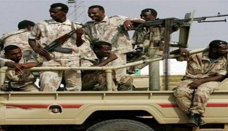 الجيش السوداني يطرد المتمردين من جنوب كردفان
