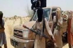 التوحيد تجدّد مطالبها بمقايضة الدبلوماسيين بأتباعها‮ ‬