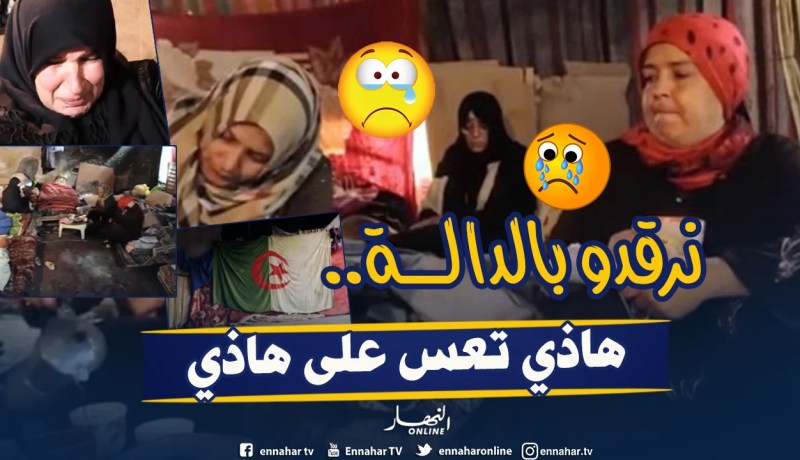 بالفيديو.. قصص نساء مطلقات جمعهن مصنع مهجور