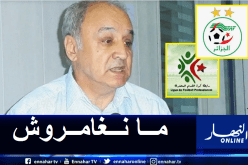 البروفيسور بركاني: “لا يمكن إستئناف البطولة” !