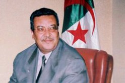 الهادي خالدي يؤكد على دور خلايا التوجيه في مساعدة المتربصين على اختيار التخصصات وفق متطلبات عالم الشغل