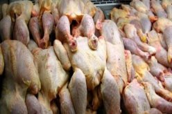 حجز 7 قناطير من الدجاج وأحشاء الماشية الفاسدة في سوق “البودروم” بقسنطينة