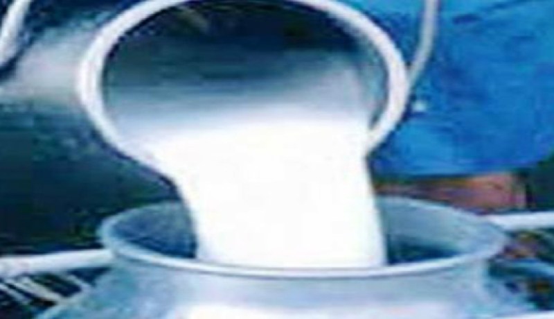 منتجو الحليب يؤكدون على الأهمية الإستراتيجية لشعبة الحليب في الطارف
