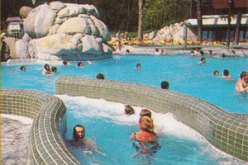 جزائري وراء القضبان التونسية بتهمة القتل العمدي