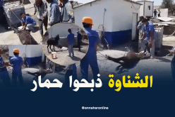 شاهد بالفيديو رعايا صينيين يذبحون حمارا في ذراع الميزان بتيزي وزو