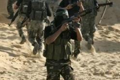 “كمشة بعوض”.. تواجه إسرائيل !؟