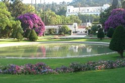 تنظيم معارض للتعريف بالحظائر الطبيعية الوطنية ابتداء من فيفري