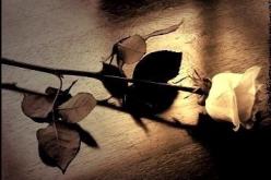 همسة للرجال في‮ ‬عيد النساء