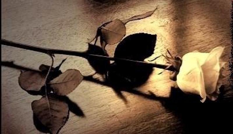 همسة للرجال في‮ ‬عيد النساء