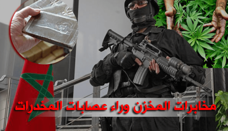 عبد الحميد العربي شريف: المخزن يُدير تجارة المخدرات عن طريق عصابات