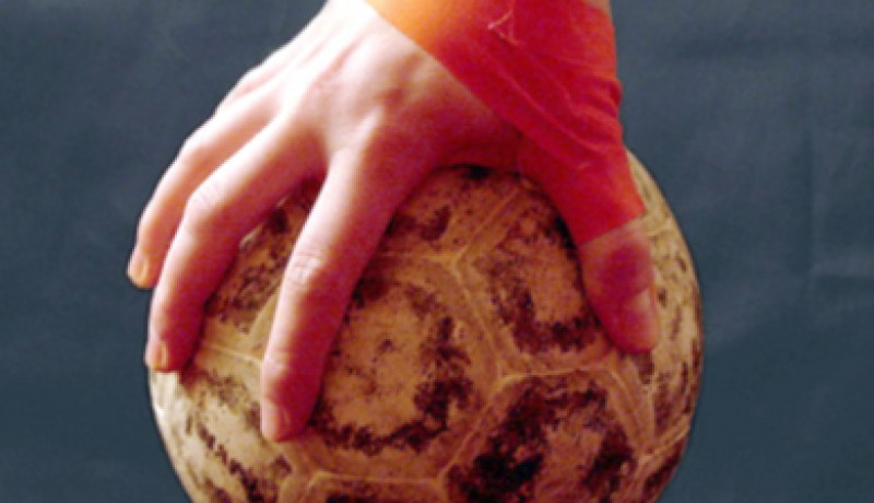 خسارة الجزائر أمام مصر