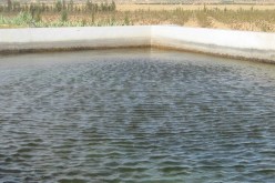 انتشال جثة طفل غريق بحوض بسعيدة