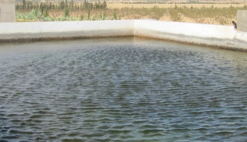 انتشال جثة طفل غريق بحوض بسعيدة