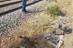 قطار يدهس شخص ويقسمه الى نصفين بالحراش