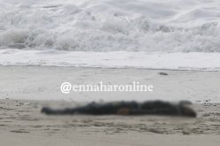 انتشال جثة “حراڨ” متعفنة بشاطئ عين تيموشنت