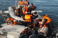 حاكم جزيرة إيطالية قلق من 800 مهاجر جزائري