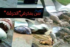 صور صادمة لأشلاء بشرية ببطن قرش في إسبانيا