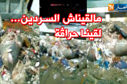 شاهد.. جثة حراق في شباك الصيادين 