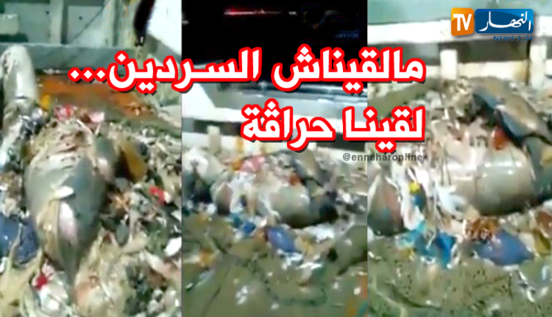 شاهد.. جثة حراق في شباك الصيادين