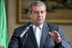 رابحي: “لا نريد حربا في الجزائر ولا عدم استقرار البلاد”