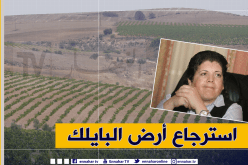 مديرية أملاك الدولة تجرد حسيبة بولمرقة من أرض فلاحية بمساحة 600 هكتار