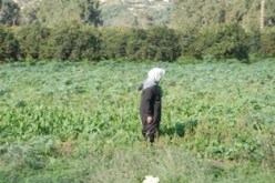 مساعدات بقيمة 30 مليون سنتيم لسكان المناطق شبه الحضرية