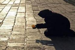 متسول‮ ‬ينشئ شركة‮ ''‬حباب ربي‮'' ‬في‮ ‬شارع مصطفى بن بولعيد