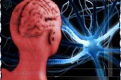 ضوضاء الطيران تسبب الجلطات الدماغية وأمراض القلب والاكتئاب