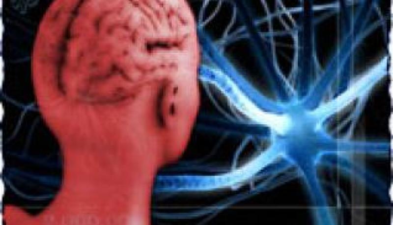 ضوضاء الطيران تسبب الجلطات الدماغية وأمراض القلب والاكتئاب