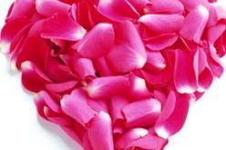 النهار تساعدك على دخولك القفص الذهبي