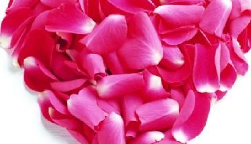 النهار تساعدك على دخولك القفص الذهبي