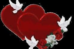 النهار تساعدك على دخول القفص الذهبي