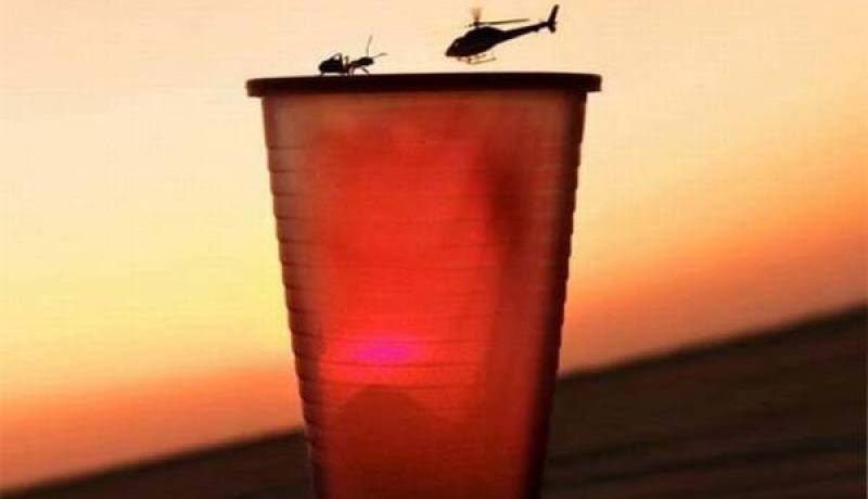 صور تم التقاطها في الوقت المناسب