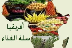 دول الساحل أكثر عرضة للأزمات الغذائية