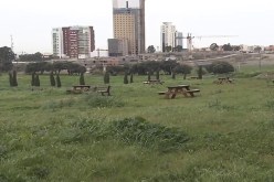 سلال يلغي 150 عقد استفادة لتشييد محلات «برارك» بحظيرة دنيا بارك