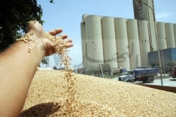 إيداع المفتش العام السابق ومستشار المدير العام لديوان الحبوب الحبس المؤقت