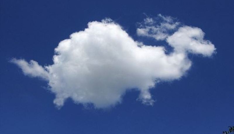 بالصور أشكال حيوانات من الغيوم