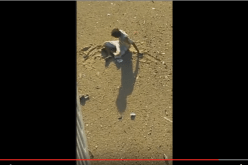 بالفيديو هذا ماحدث لمواطن حاول الإنتحار برمي نفسه